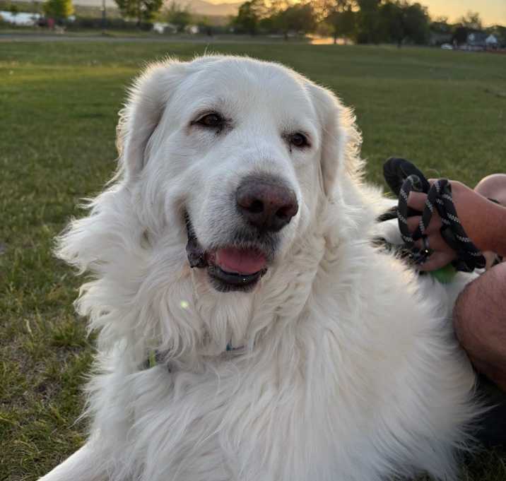Photo of Abby