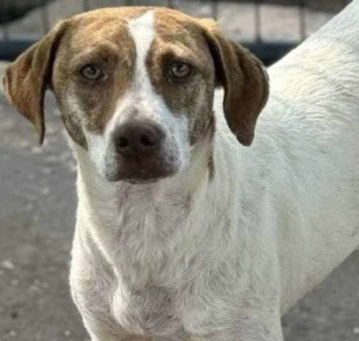Photo of Clementine