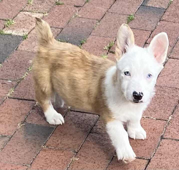 Photo of Finn