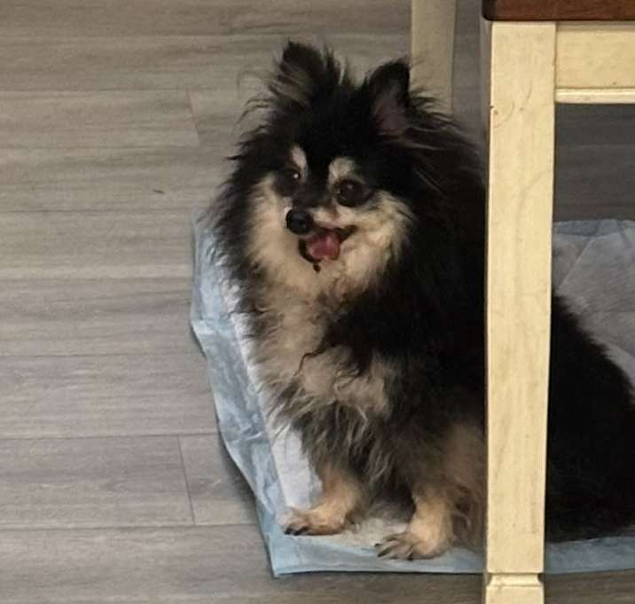 Photo of Cindy