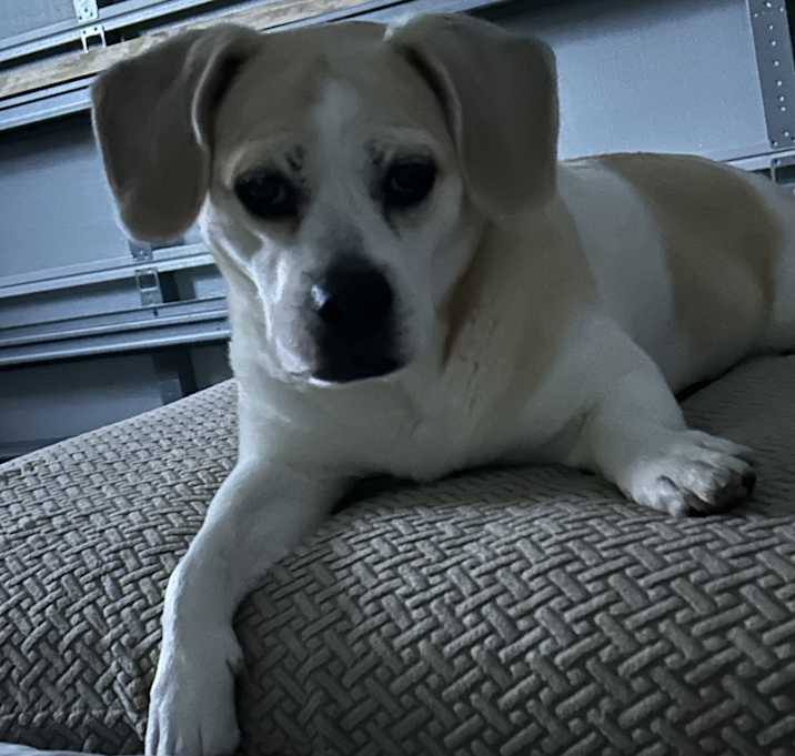 Photo of Arya