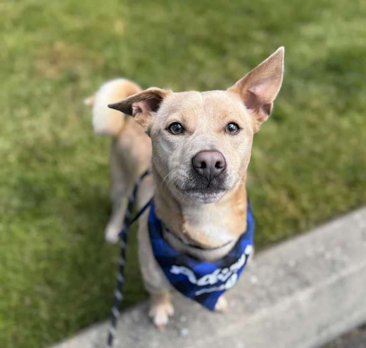 Photo of Nigel