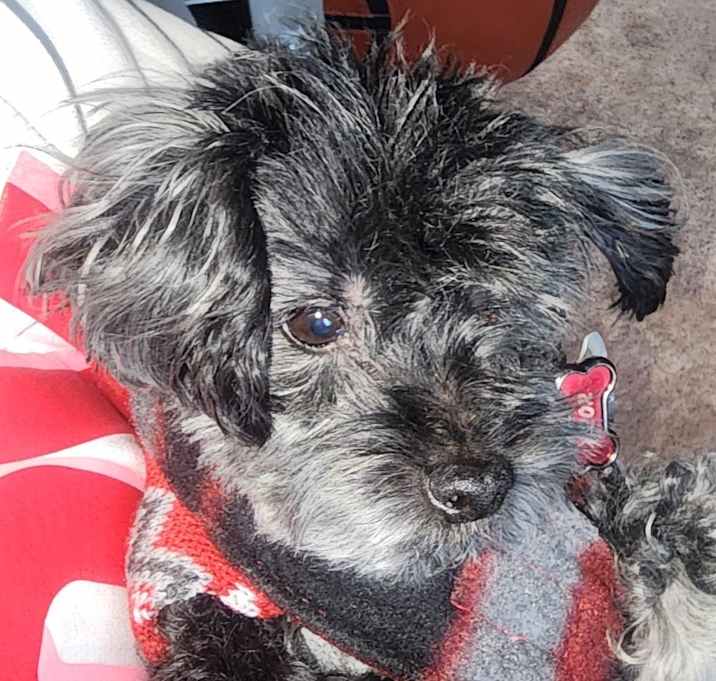 Photo of Thor