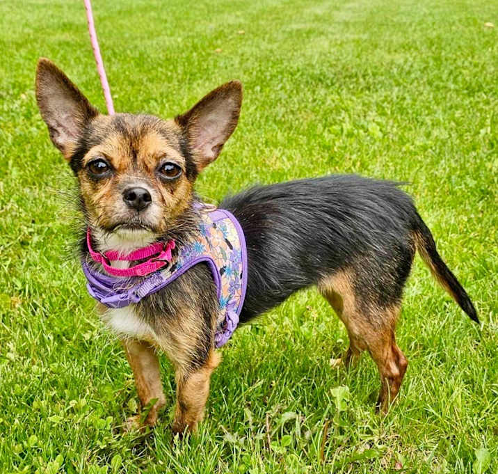 Photo of Nellie