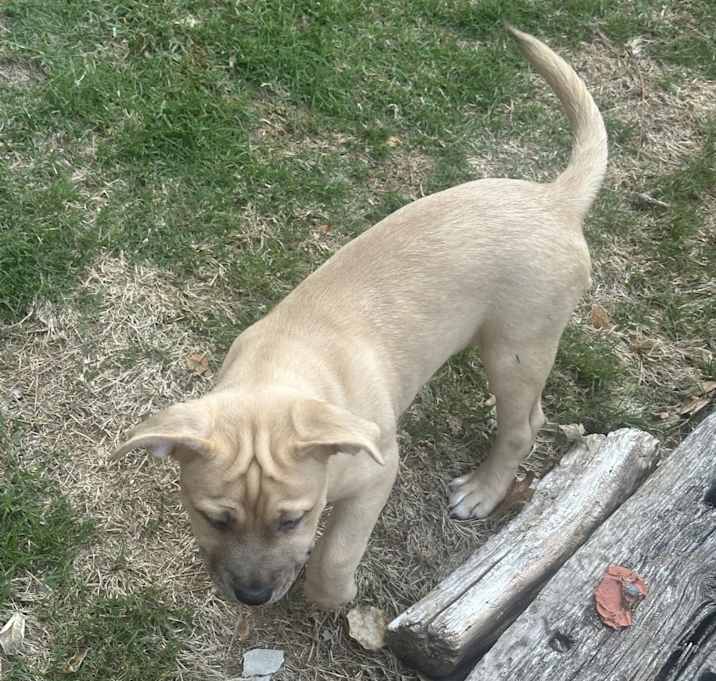 Photo of Athena