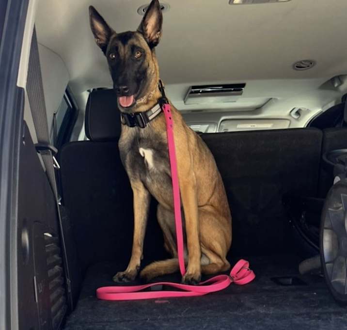 Photo of Roo