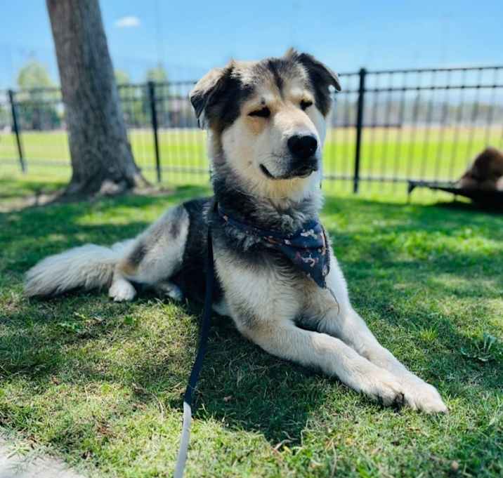 Photo of Zero