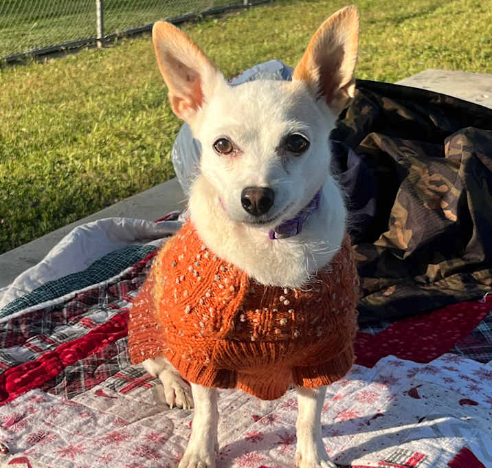 Photo of CeCe