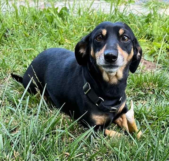 Photo of Gus (Camilo)