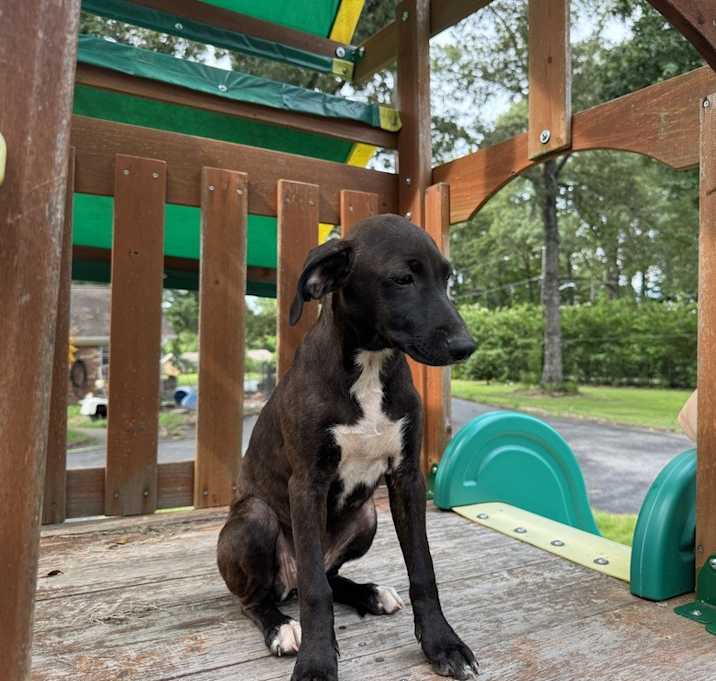 Photo of Winston