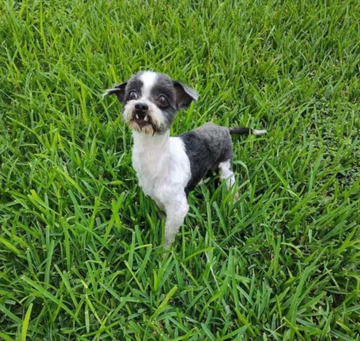Photo of Ellie TX