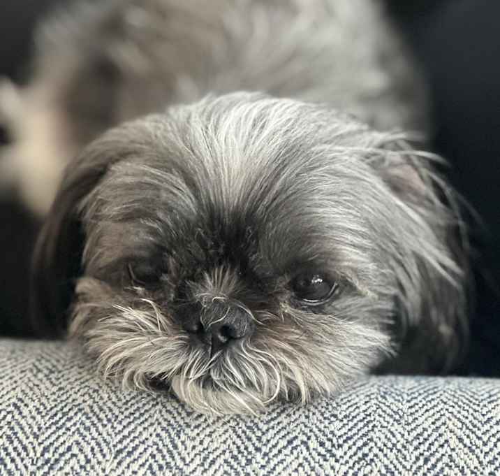 Photo of Riley Royce