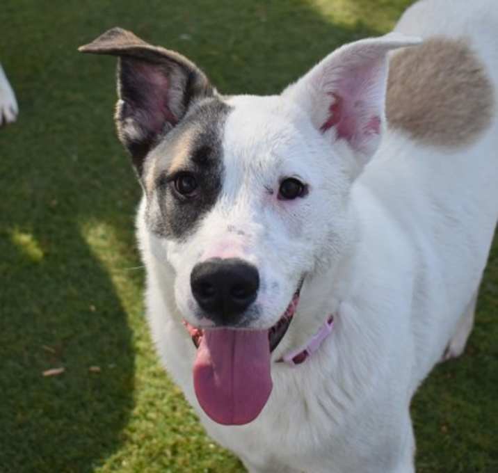 Photo of Gunther