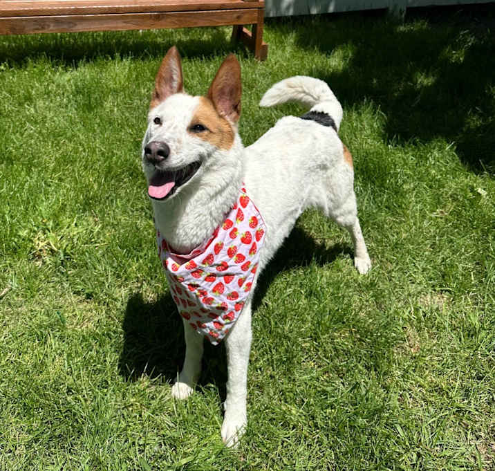 Photo of Bonnie