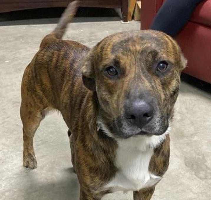 Photo of Toochee