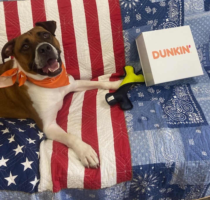 Photo of Dunkin