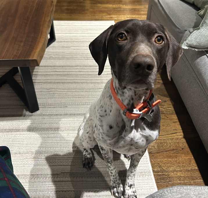 Photo of Wally