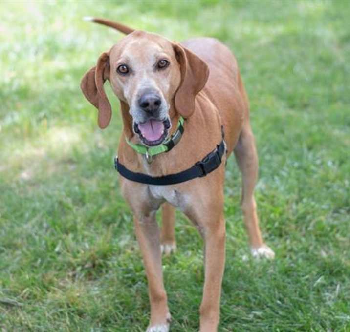 Photo of SHYLO