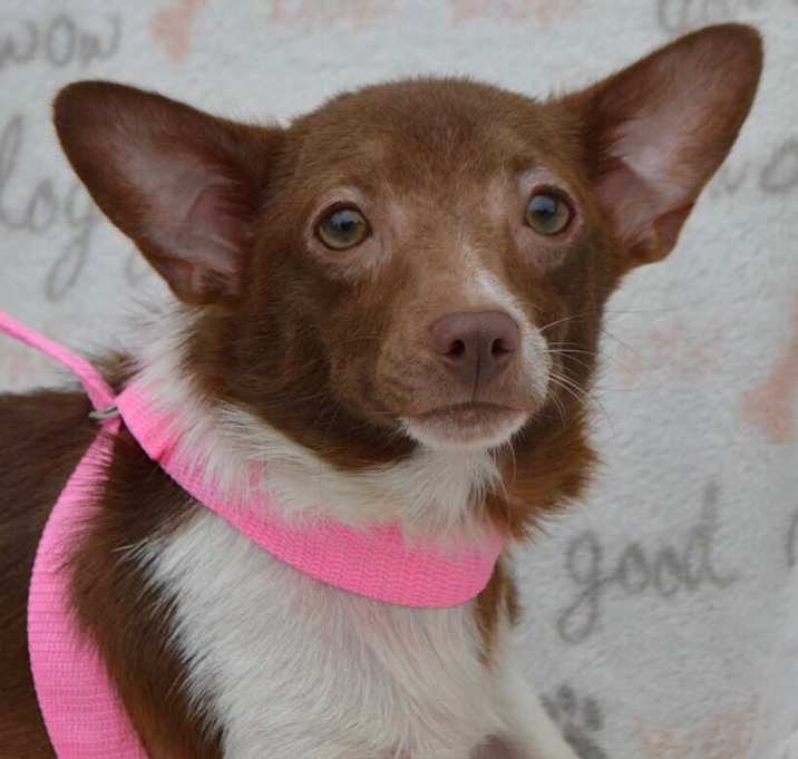 Photo of PENNY