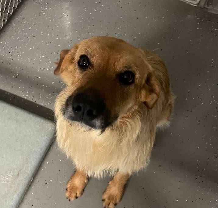 Photo of Alf