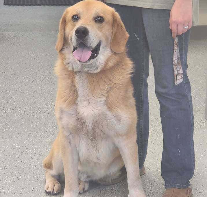 Photo of Gerald