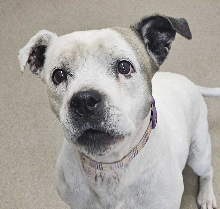 Photo of Esmerelda