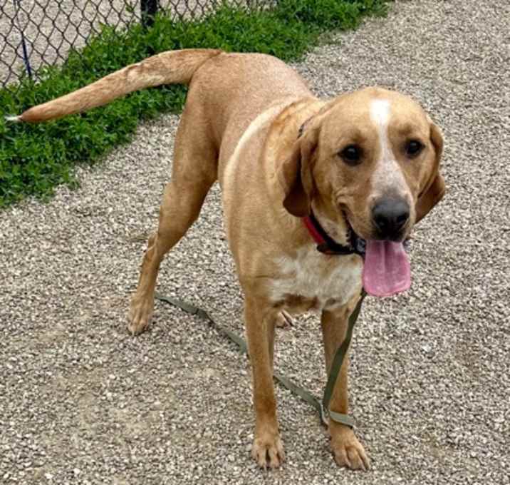 Photo of Tank