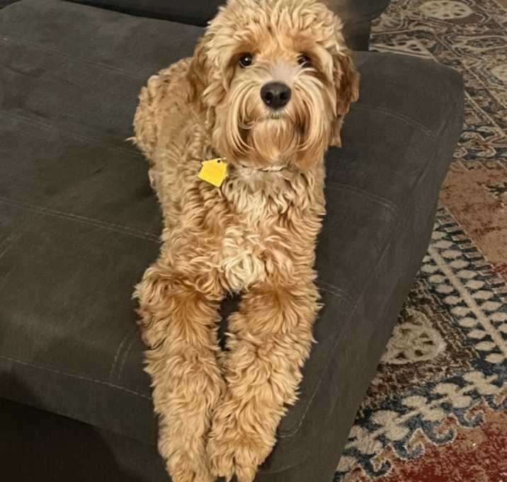 Photo of Charlie