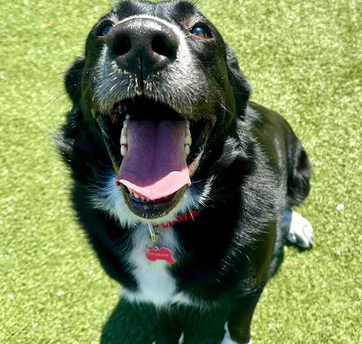 Photo of Xena