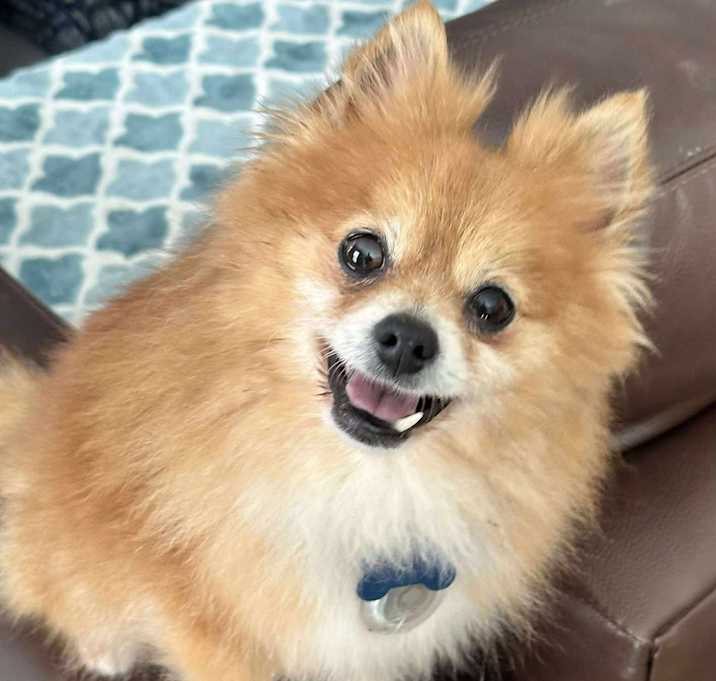 Photo of Emmie Lou