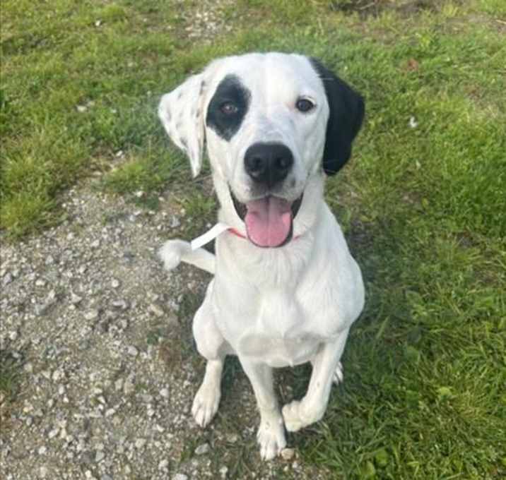Photo of ODIN