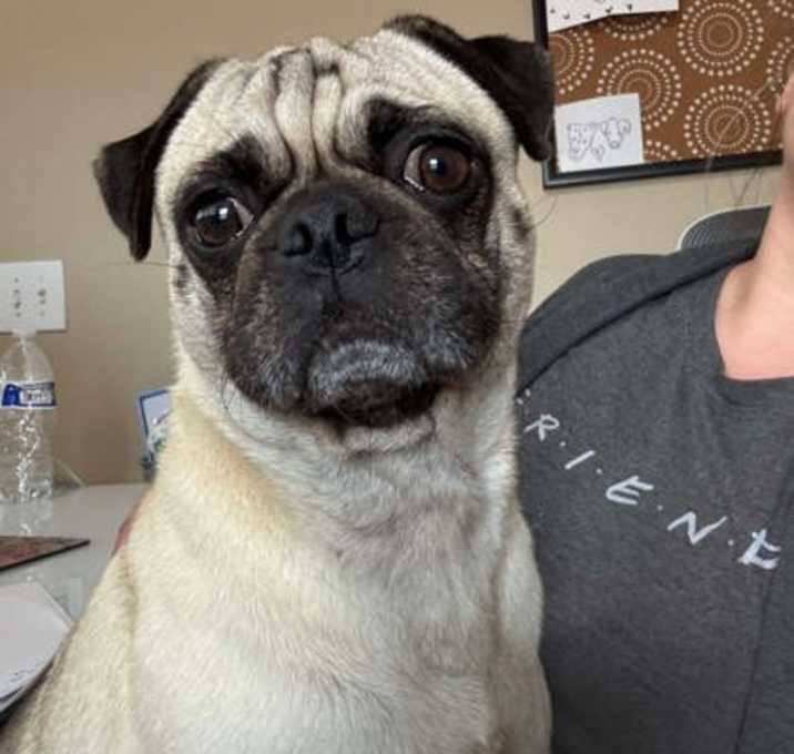 Photo of Finnegan