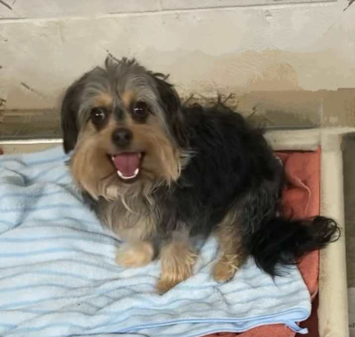 Photo of Duke