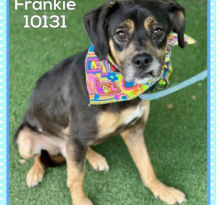 Photo of FRANKIE