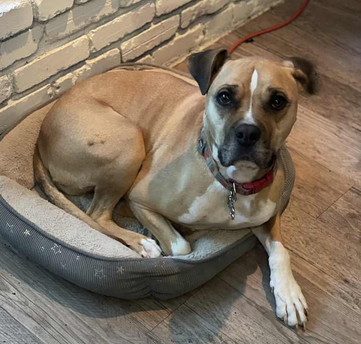 Photo of Oliver