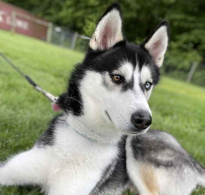 Photo of Colby