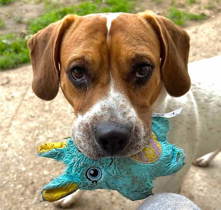Photo of Sam