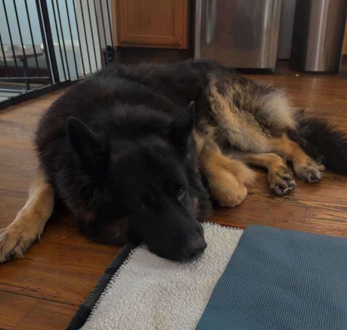 Photo of Asher