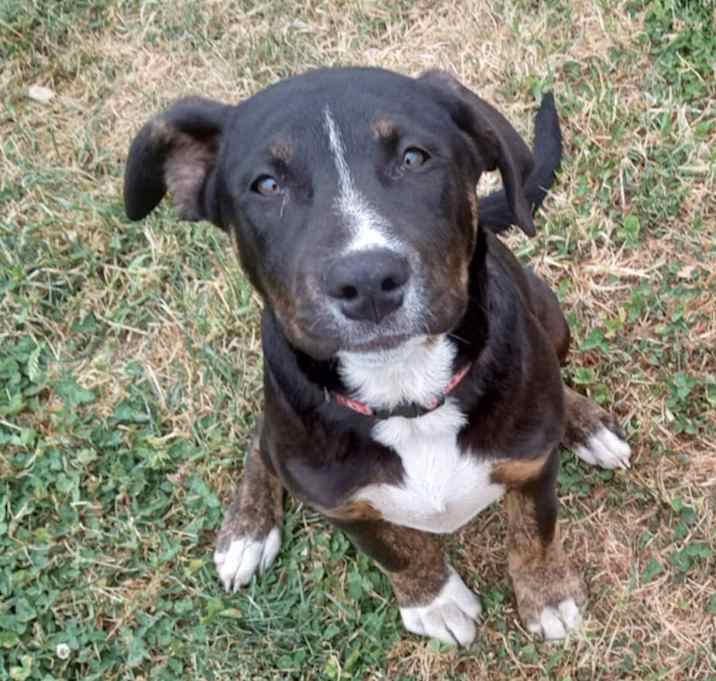 Photo of Snickers