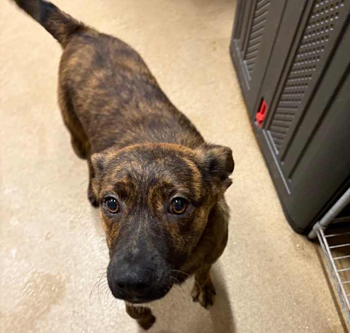 Photo of Roxie