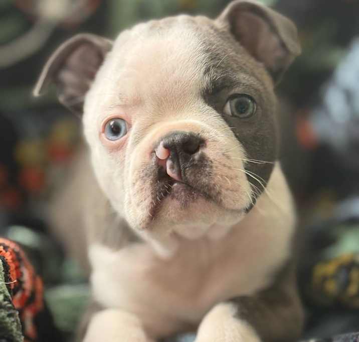 Photo of Hazel