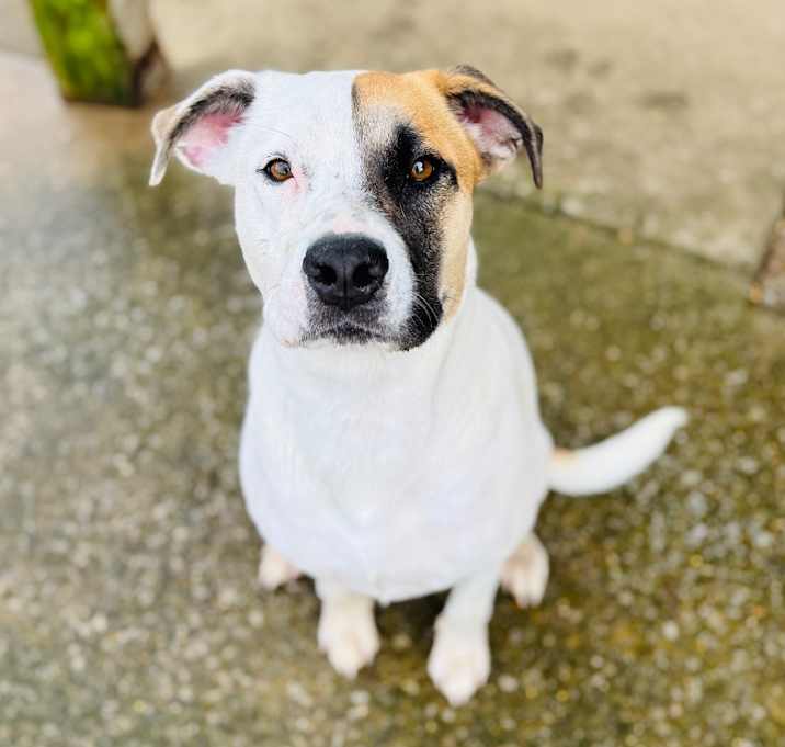 Photo of Junie