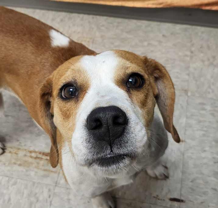 Photo of Harley