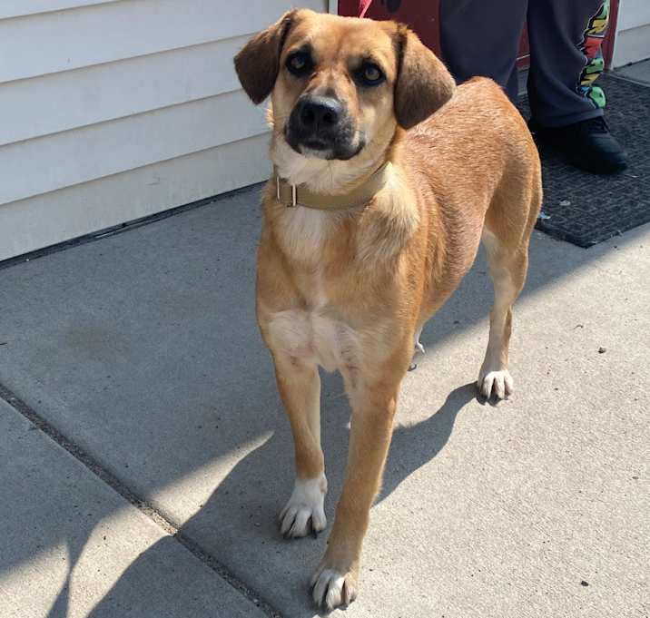 Photo of Lacey