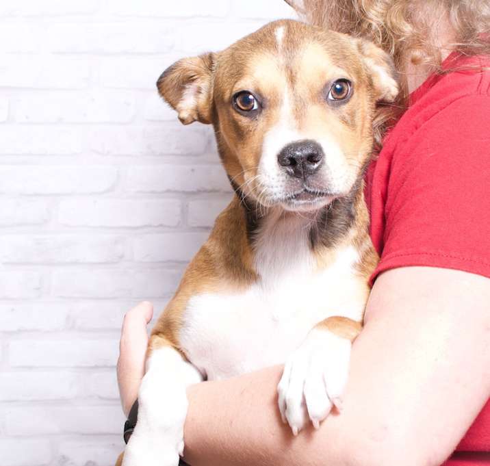 Photo of DeeDee