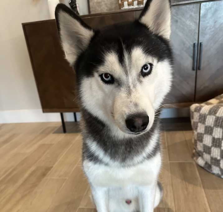 Photo of Ghost