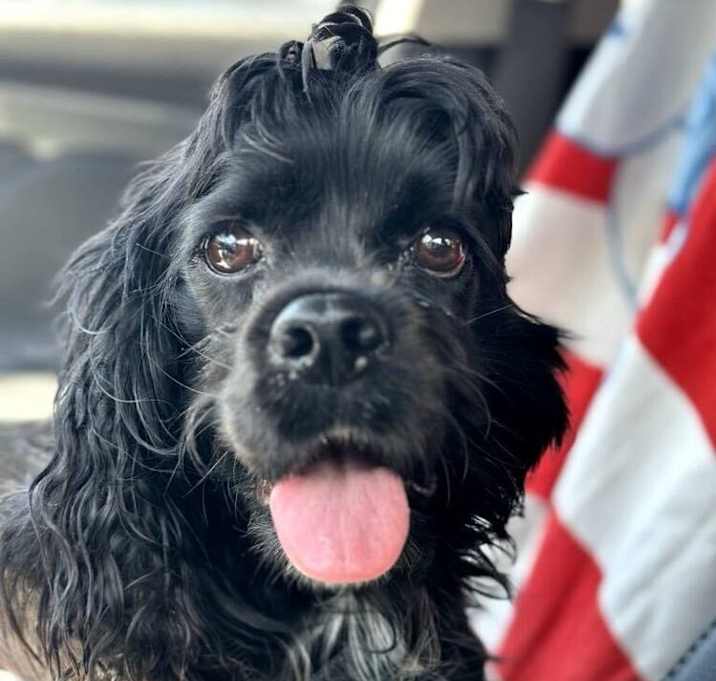 Photo of Chloe