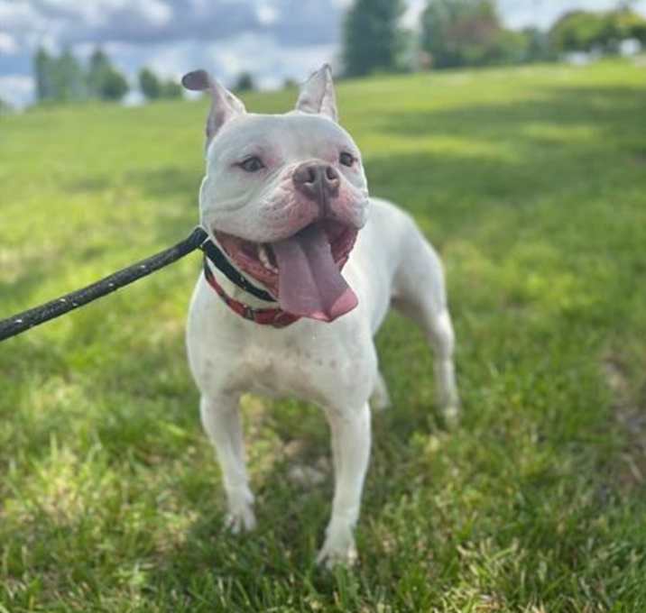 Photo of BOWSER