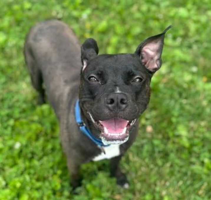 Photo of CHOOPY