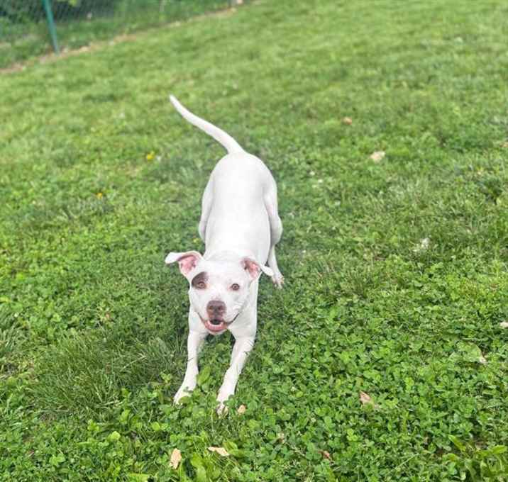 Photo of INARA